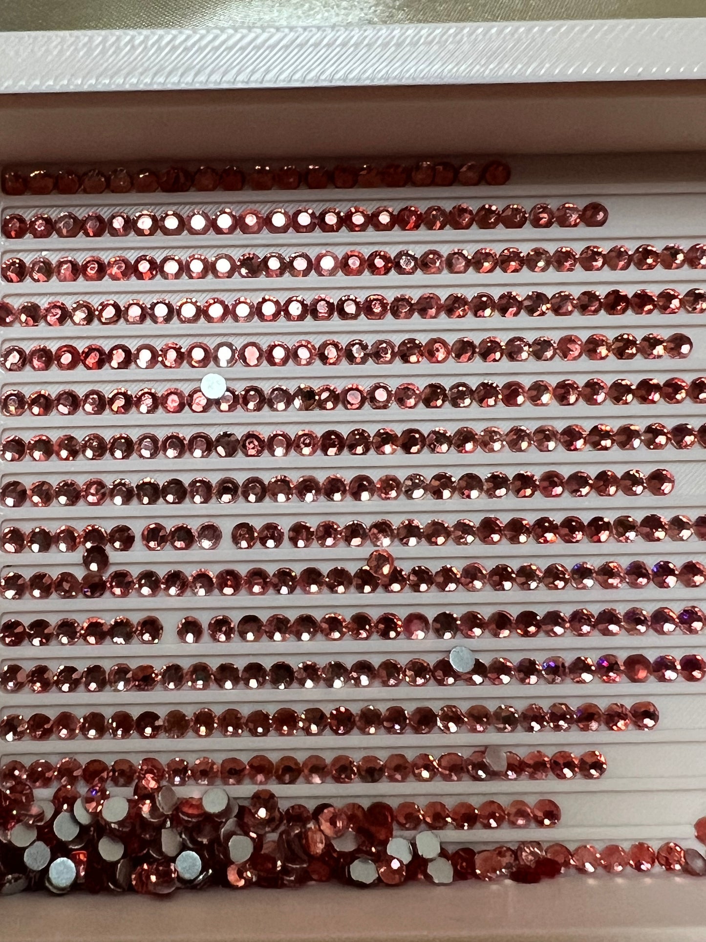Wax Apple πβ¨