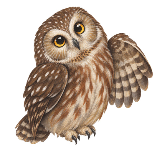 Whooo, Me? – Fall Cover Minder