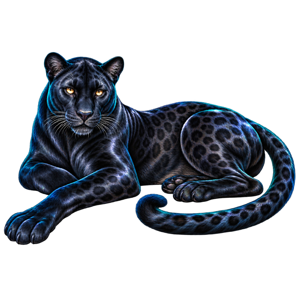 Midnight Has Eyes – Fall Cover Minder