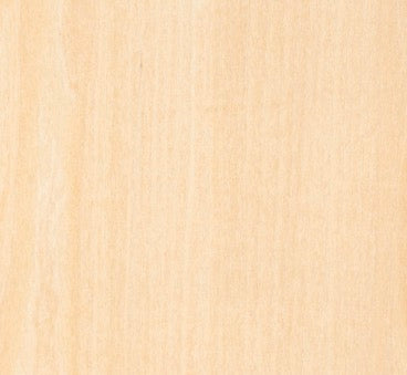 Leopard Print Wooden Cover Minder