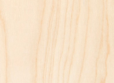 Leopard Print Wooden Cover Minder