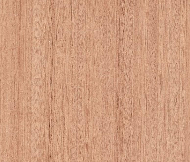 Leopard Print Wooden Cover Minder