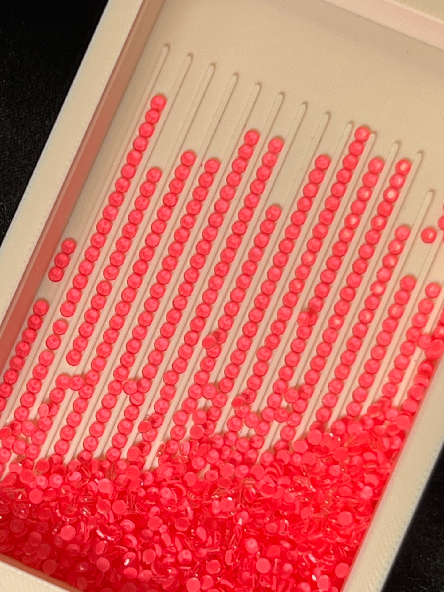 Watermelon Neon