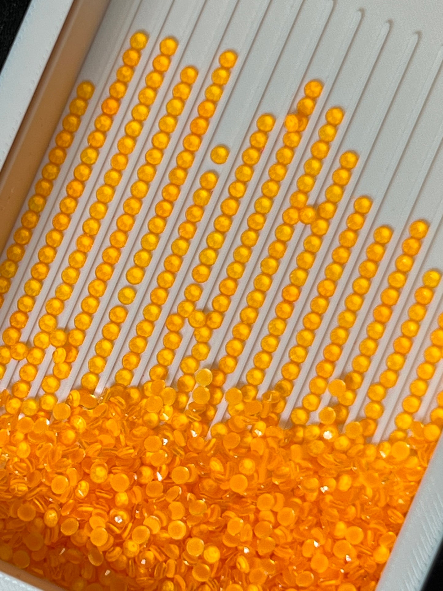 New Orange Neon