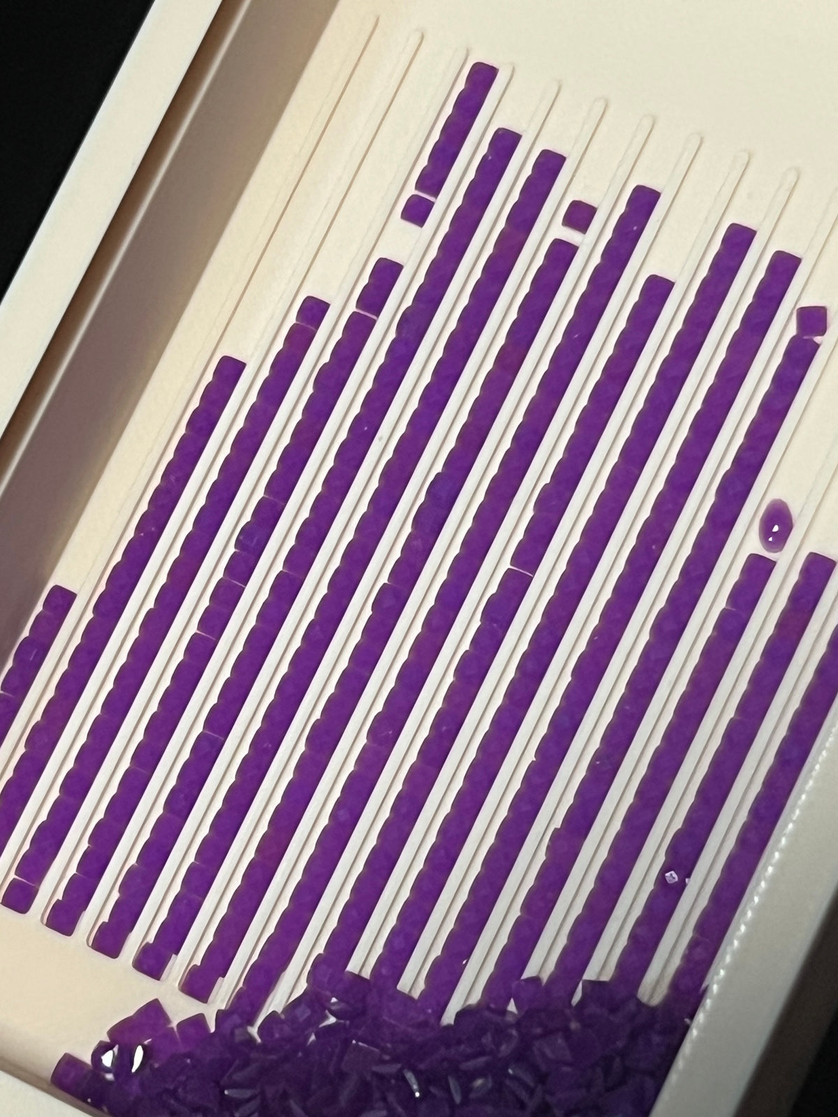 024 – Wicked Violet | Fireflies Squares