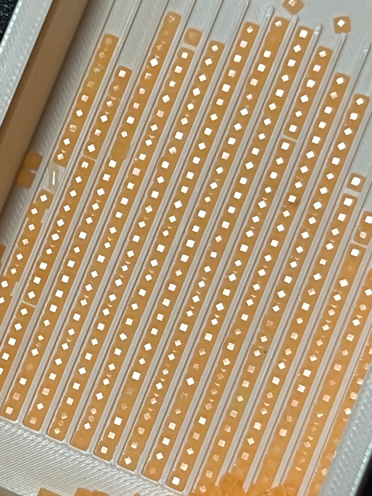 003 – Gaslit | Fireflies Squares