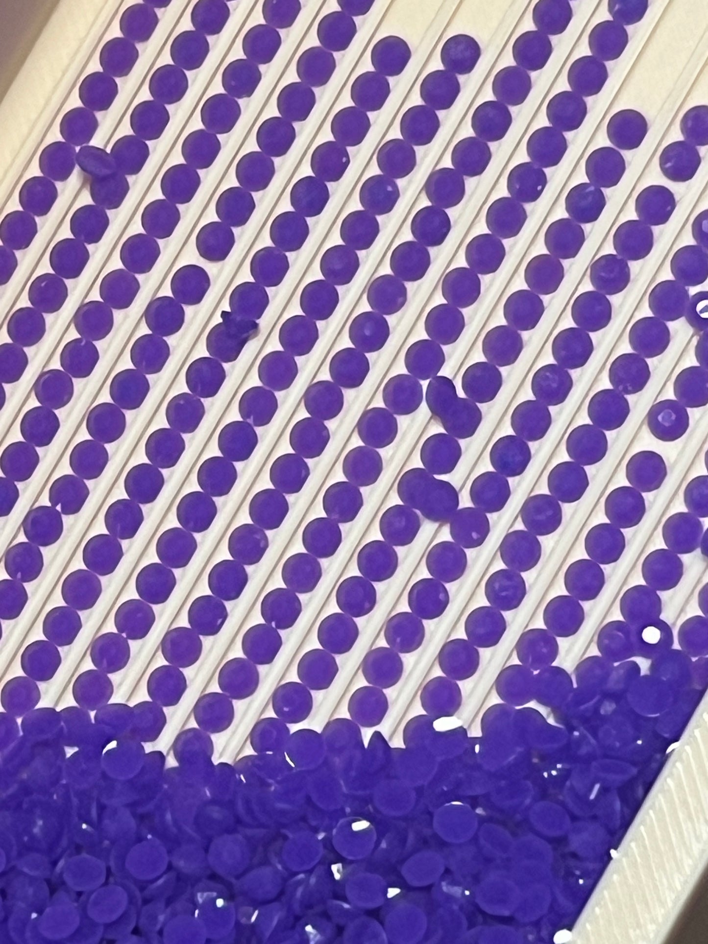 024 – Wicked Violet | Fireflies Rounds