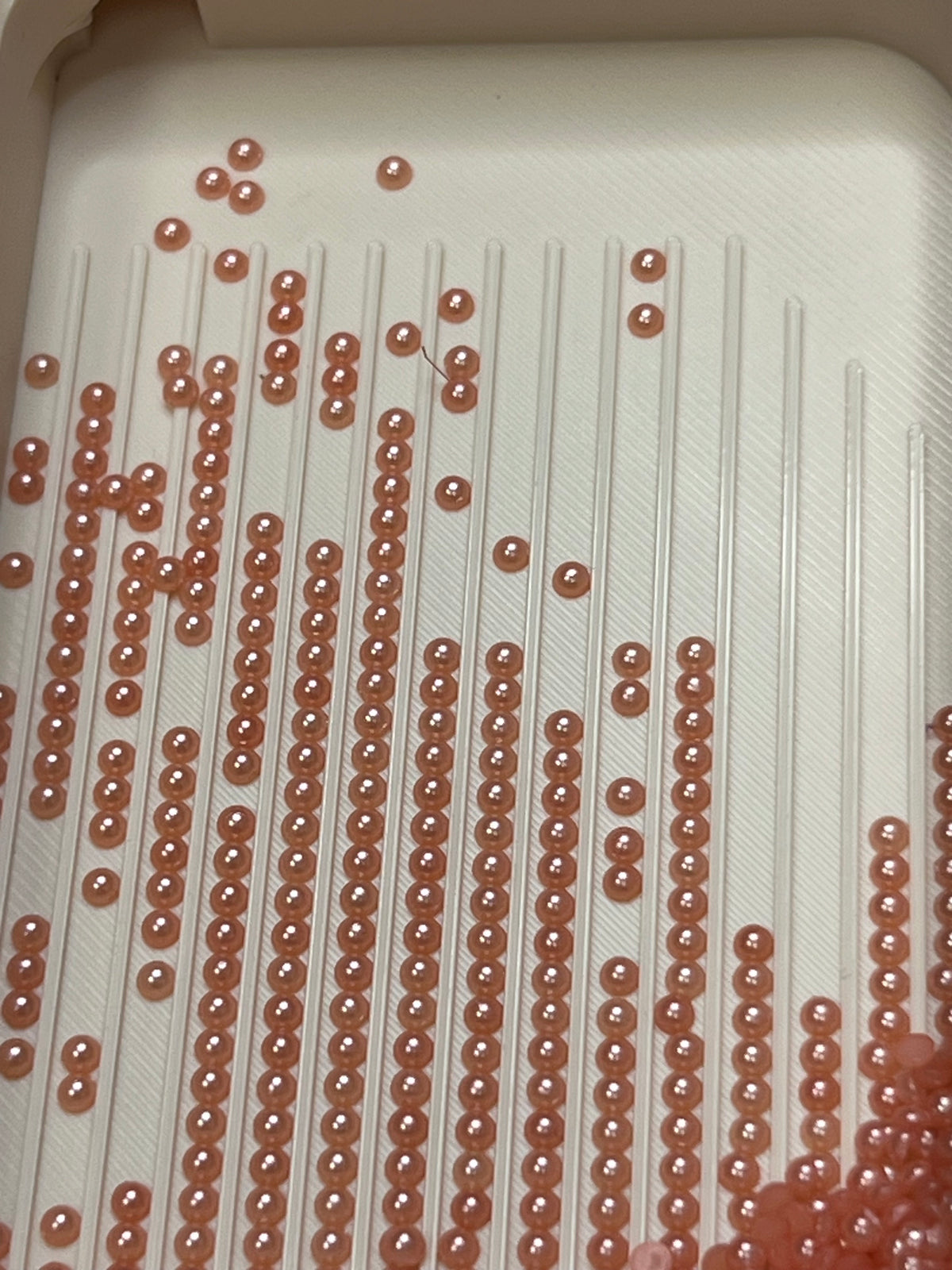 Luna Pearls – FP32 Nectarine