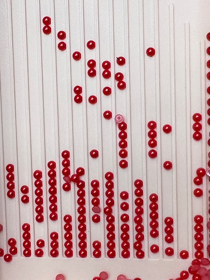 Red Cranberry ✨❤️🍒