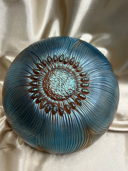 Calypso Bloom